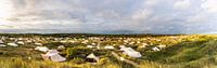 Panorama camping