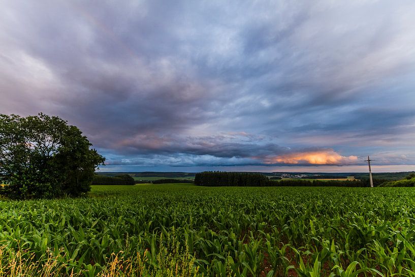 Den Himmel verbrennen von Kim Dalmeijer