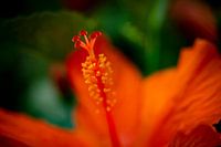 beautiful colors of nature