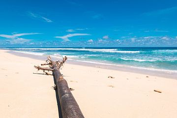 Schöner weißer Strand mit strahlend blauem Wasser (Pantai Nunggalan Beach) auf Bali, Indonesien von Troy Wegman