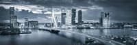 Skyline Rotterdam Erasmus-Brücke - Metallic-Grau von Vincent Fennis Miniaturansicht