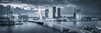 Skyline Rotterdam Erasmusbrug - Metallic Grey