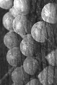 Structuur druiven van Ruud Overes