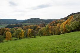 L'automne dans les Vosges sur Wim Slootweg