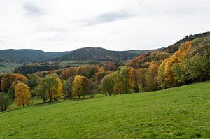 Autumn in the Vosges by Wim Slootweg