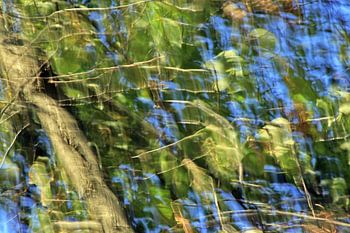 Bewegte-Kamera-Bilder