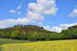 Gohrisch von Karin Jähne
