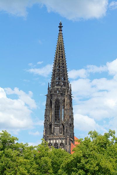 Lamberti Church , Münster in Westphalia by Torsten Krüger