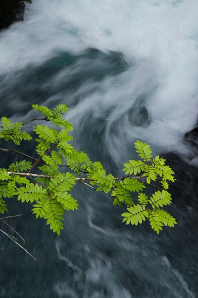 Groen bij een waterval von Ed de Cock