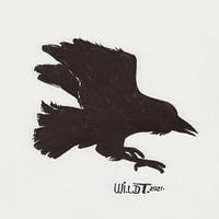 Silhouette of a flying raven