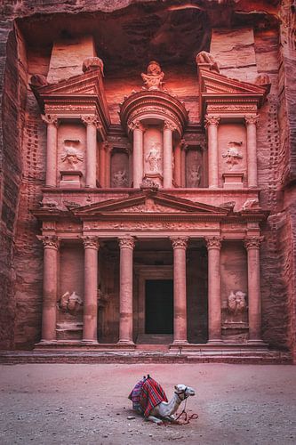 The Treasury