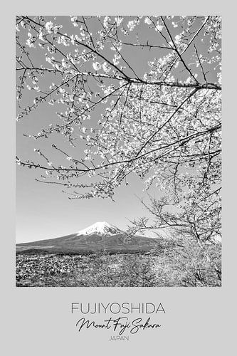 In focus: Zicht op de berg Fuji tijdens kersenbloesem