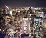 Midtown Manhatan Skyline, New York van Maarten Egas Reparaz thumbnail