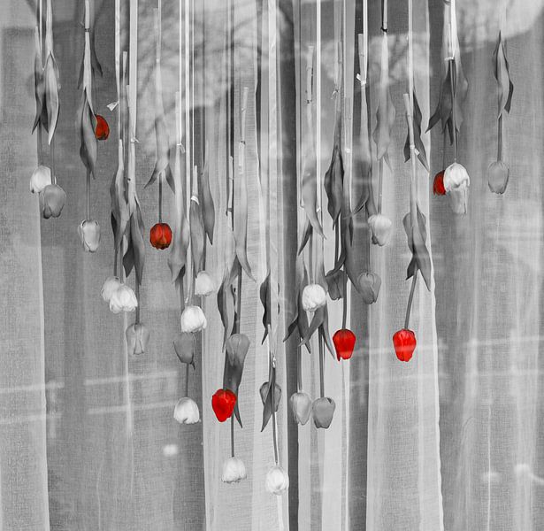 Tulpen für ein Fenster von Marijke Keijser