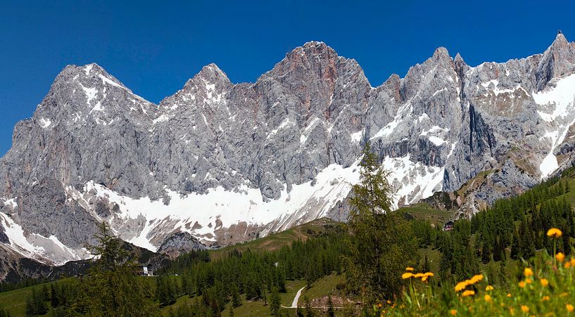 Summer on the Dachstein by Christa Kramer