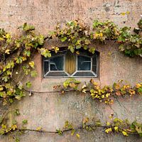 Herbstfenster
