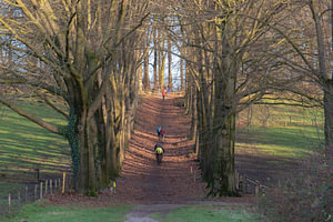 Sport im Park
