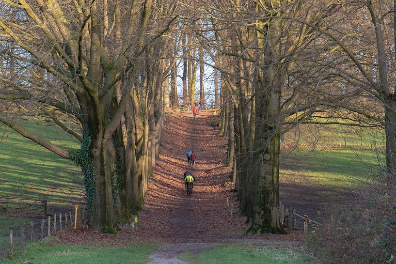 Sport im Park von Tania Perneel