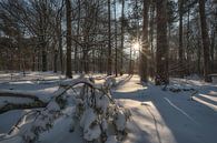 Winter Landscape by Moetwil en van Dijk - Fotografie thumbnail