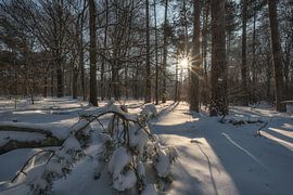 Winterlandschaft von Moetwil en van Dijk - Fotografie