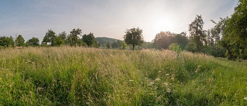 Boomgaard Bellet in het Zuid-Limburgse Cottessen