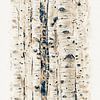 Birch Forest no. 2 by Apolo Prints