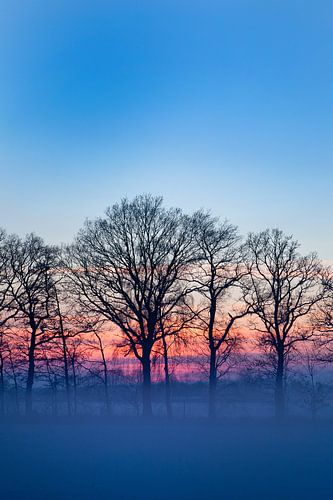 Paysage d'hiver avec coucher de soleil
