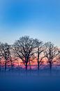 Winter landscape with sunset by Liesbeth van Asseldonk thumbnail