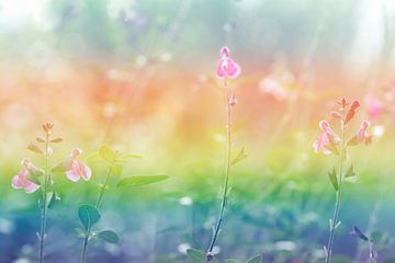 Bloemetjes met regenboog kleuren in pastel van Lisette Rijkers