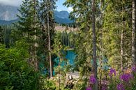 Karersee, Dolomites by Richard van der Woude thumbnail