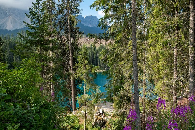 Karersee, Dolomites by Richard van der Woude