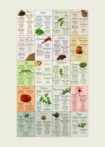 De ultieme infografische gids voor specerijen