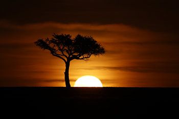Afrikaanse zonsondergang