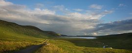 Lough Easky, Irland von Bo Scheeringa Photography