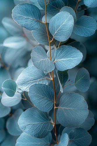 Minimalistische Weergave van Blauwe Eucalyptus Bladeren