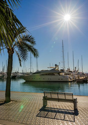 Spanje Palma de Majorca, luxe jachten in de jachthaven