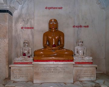 Ranakpur: Ranakpur Jain tempel van Maarten Verhees
