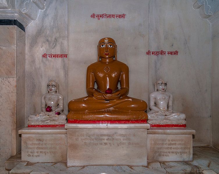 Ranakpur: Ranakpur Jain tempel by Maarten Verhees