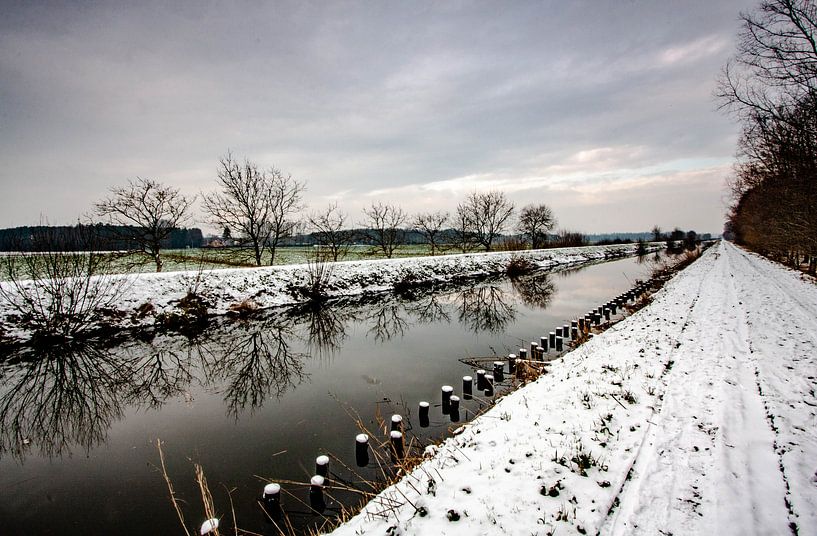 Winterview van Thomas Depauw