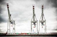 Three Harbour Cranes by Tony Buijse thumbnail