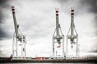 Drie Havenkranen