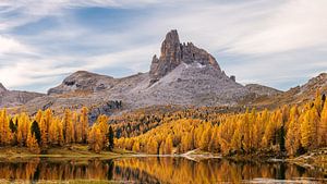 Gelbe Lärchen am Lago Federa in den italienischen Alpen