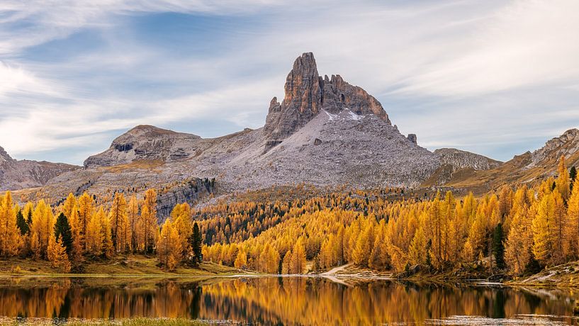 Gele lariksen bij Lago Federa in de Italiaanse Alpen van Marga Vroom