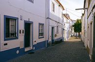 Blauwe huisjes in Arraiolos, Alentejo van Michiel Dros thumbnail