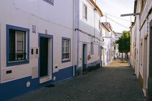 Blauwe huisjes in Arraiolos, Alentejo