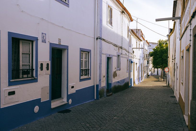 Blauwe huisjes in Arraiolos, Alentejo van Michiel Dros
