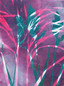 Pink und Lila in der Wiese