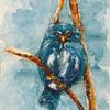 Hibou bleu. sur Ineke de Rijk