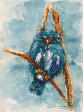 Blue owl. by Ineke de Rijk