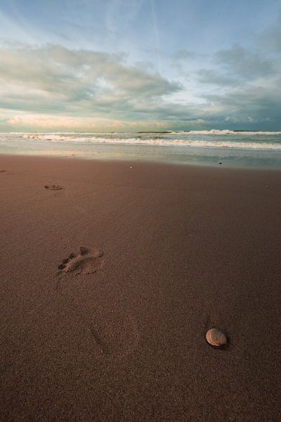 Memories in the Sand by Thomas Gladdines